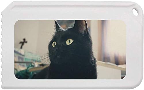 Пластмасова стъргалка за лед Azeeda 'Black Cat' (IC00004695)