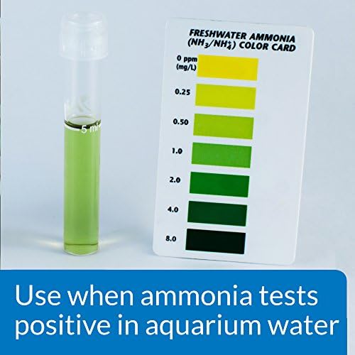 API Ammo-Lock За аквариуми с прясна и солена вода, на 16-унционная бутилка за детоксикацията на амоняк и Антистрессового