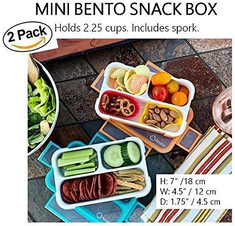 Обяд-Бокс с Контейнери, МИНИ-Апарати за закуски Bento с чанта Динозавър и набор от пакети с лед, 2 Херметически