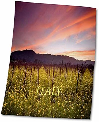 3dRose Florene Свята Екзотични места - Изображение на лозята в Италия По залез слънце - Кърпи (twl-243841-1)