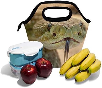 HEOEH Гърмяща Змия Токсичните Опасна Чанта за Обяд Чанта-Хладилник Изолирани Обяд-Апарати с Цип Чанта за Улицата